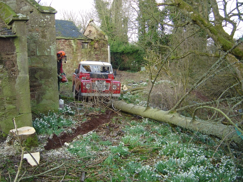10th March 07 024